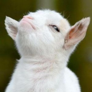 Meet your Posher, Tina